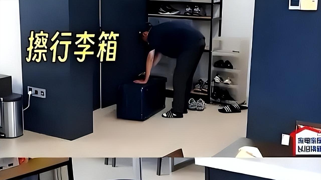 消失3年，被骂到精神崩溃，维嘉活过来了！谢娜这一举动看哭全网