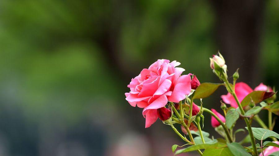 人一贪，心必乱，路必偏