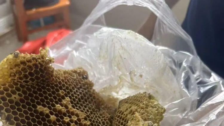 空调连接处惊现蜂巢！青岛消防为民除患收获意外惊喜