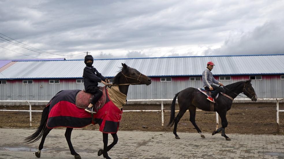 马场废弃物处理方法，环保处理，实现可持续发展