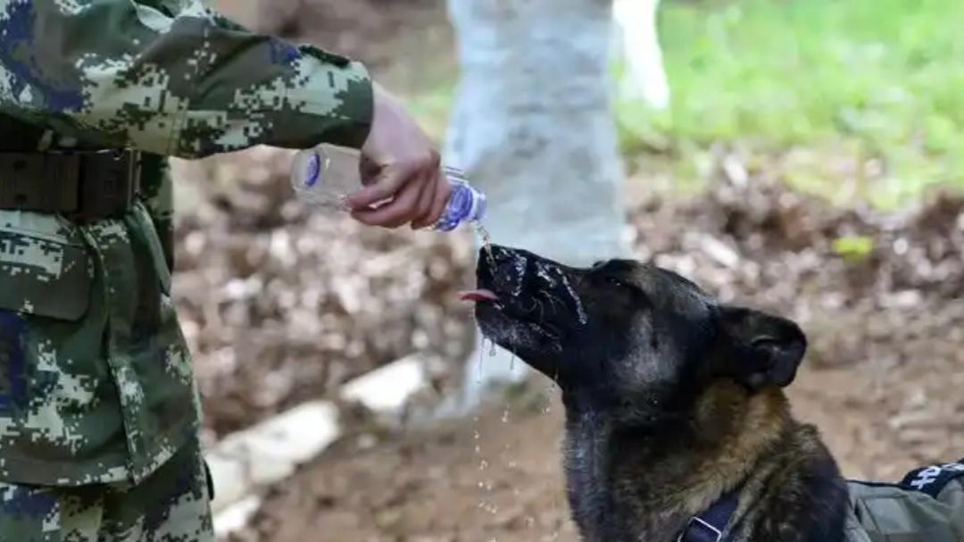 6名群众被杀害！1992年晋城市“6·10”特大持枪杀人案侦破始末