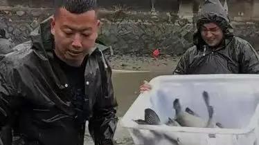 双11未至摇一摇广告先杀疯！Tim：张衡早知道都不用发明地动仪了