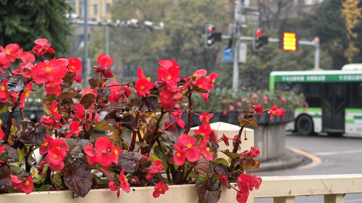 华为用户必看轻松释放手机空间2025闪光记忆全珍藏秘密武器是