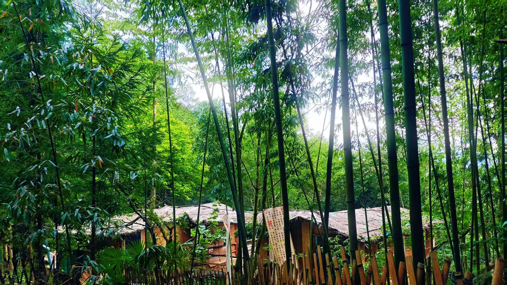 湖北利川白马草堂，在自然中疗愈身心