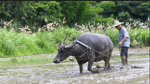 后退原来是向前