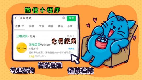 猫咪总睡你键盘？这是它爱你的证明！