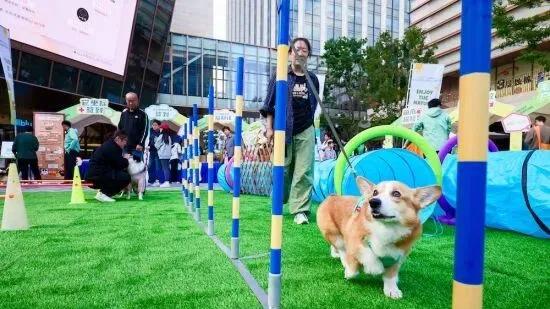 童装店卖违禁减肥药，出租车装作弊器成了移动抢钱机！