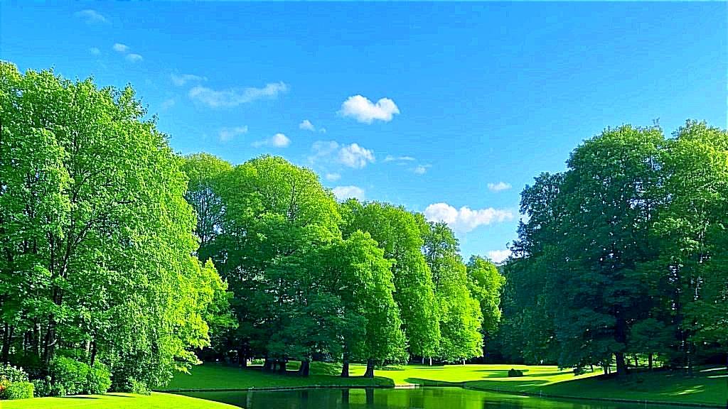 看透人性，乳腺都通畅了