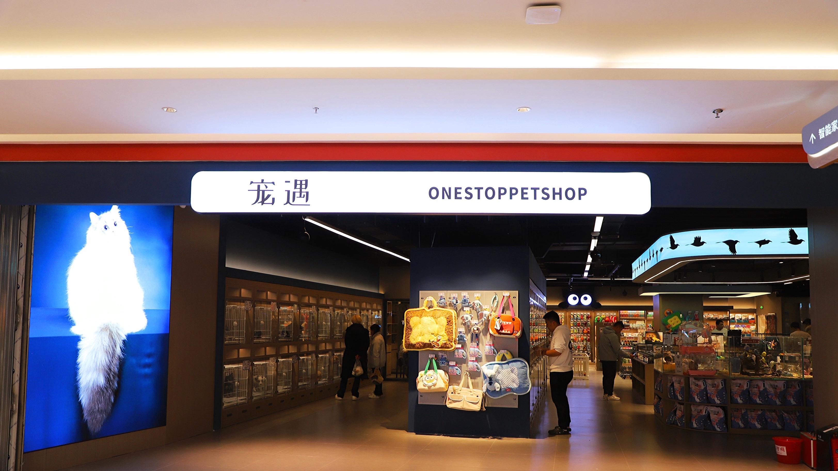 长春宠遇探店：全城品种最全的宠物店，连捕鸟蛛都能找到！