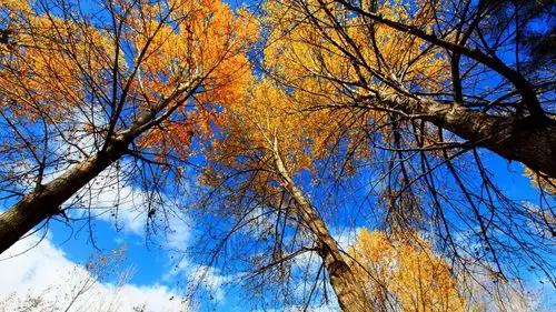 有胸怀的人也不是一般人