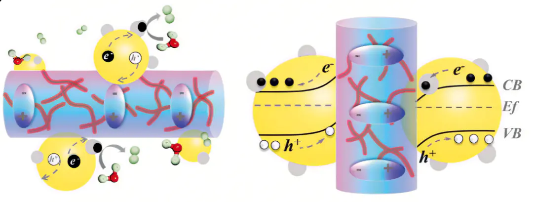 内建电场BIEF的调控与作用机制：从极化效应到异质结设计​