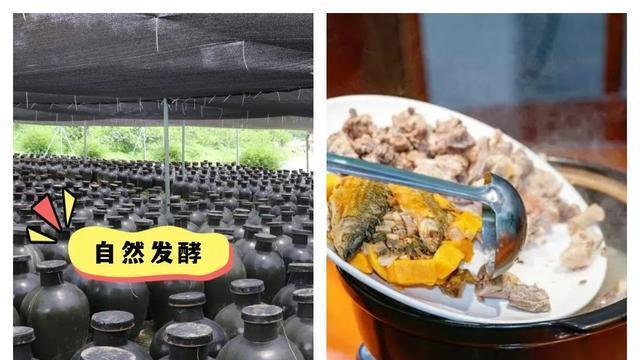 徒步50公里，穿越佛山秘境，领略岭南文化的深厚底蕴