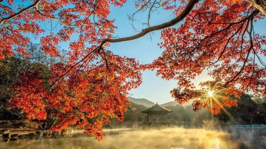 今年寒冬中藏着家电厂商的新商机