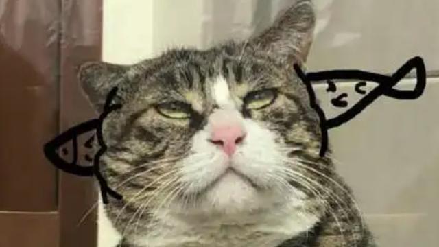 拿出1个亿外加小程序来树立标杆？率土之滨给行业指了个新出路