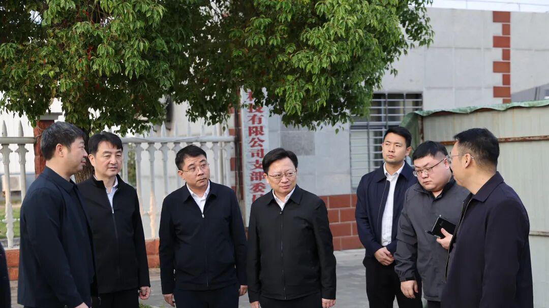 荆门高新区·掇刀区委主要领导现场督办突出生态环境问题