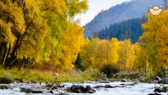 和气化解矛盾，忍耐避开祸事