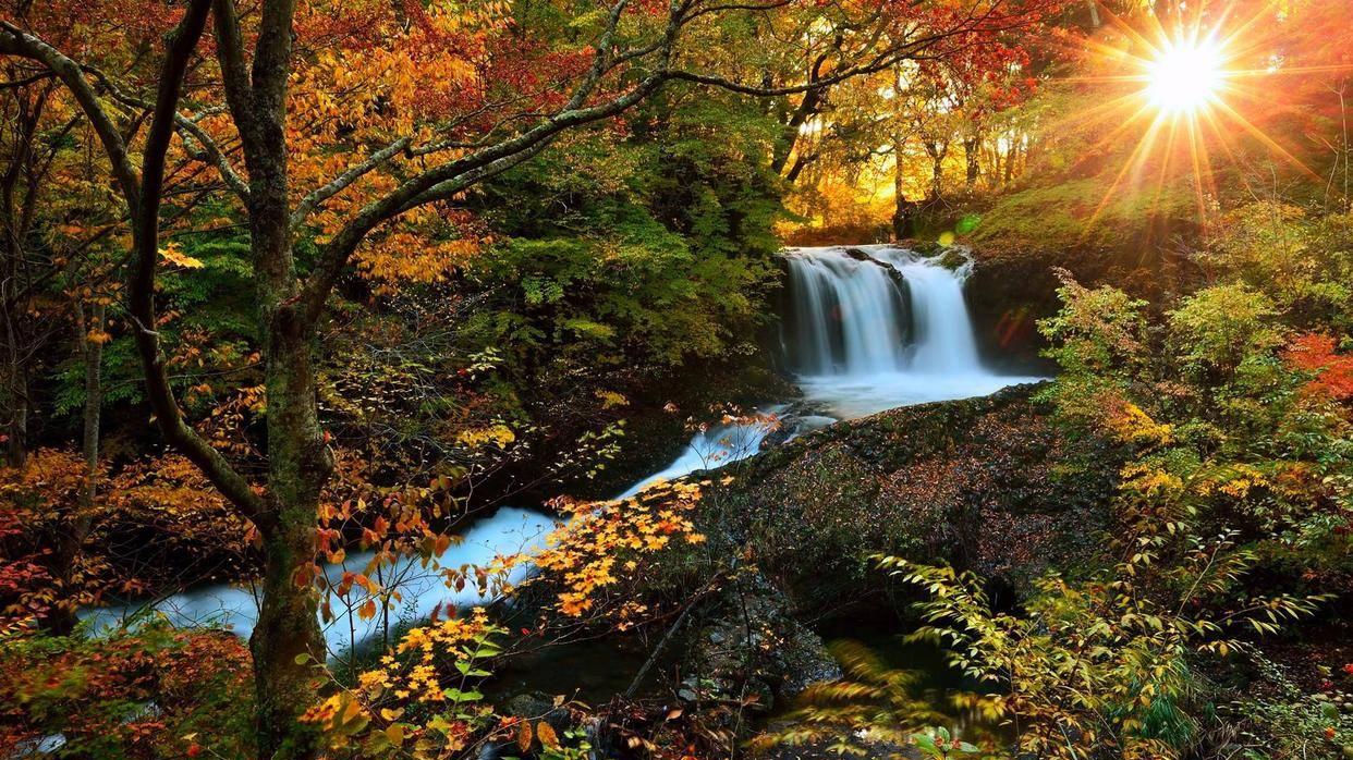 小麻雀展翅讲故事（30）后来者居上