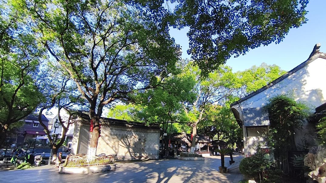 人终究是被激素支配的动物