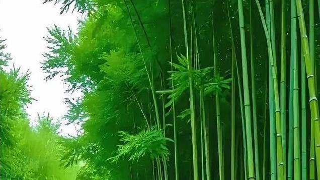 人，吃多少饭，赚多少钱，享多少福，都是注定好的，别不信