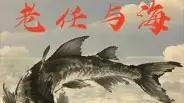 《老任与海》口碑爆款，剧情跌宕与视觉震撼且情感充沛