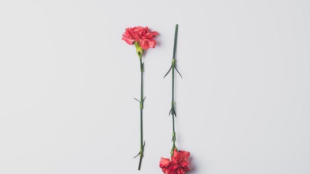 醒醒吧！人跟人之间，就是一面镜子！