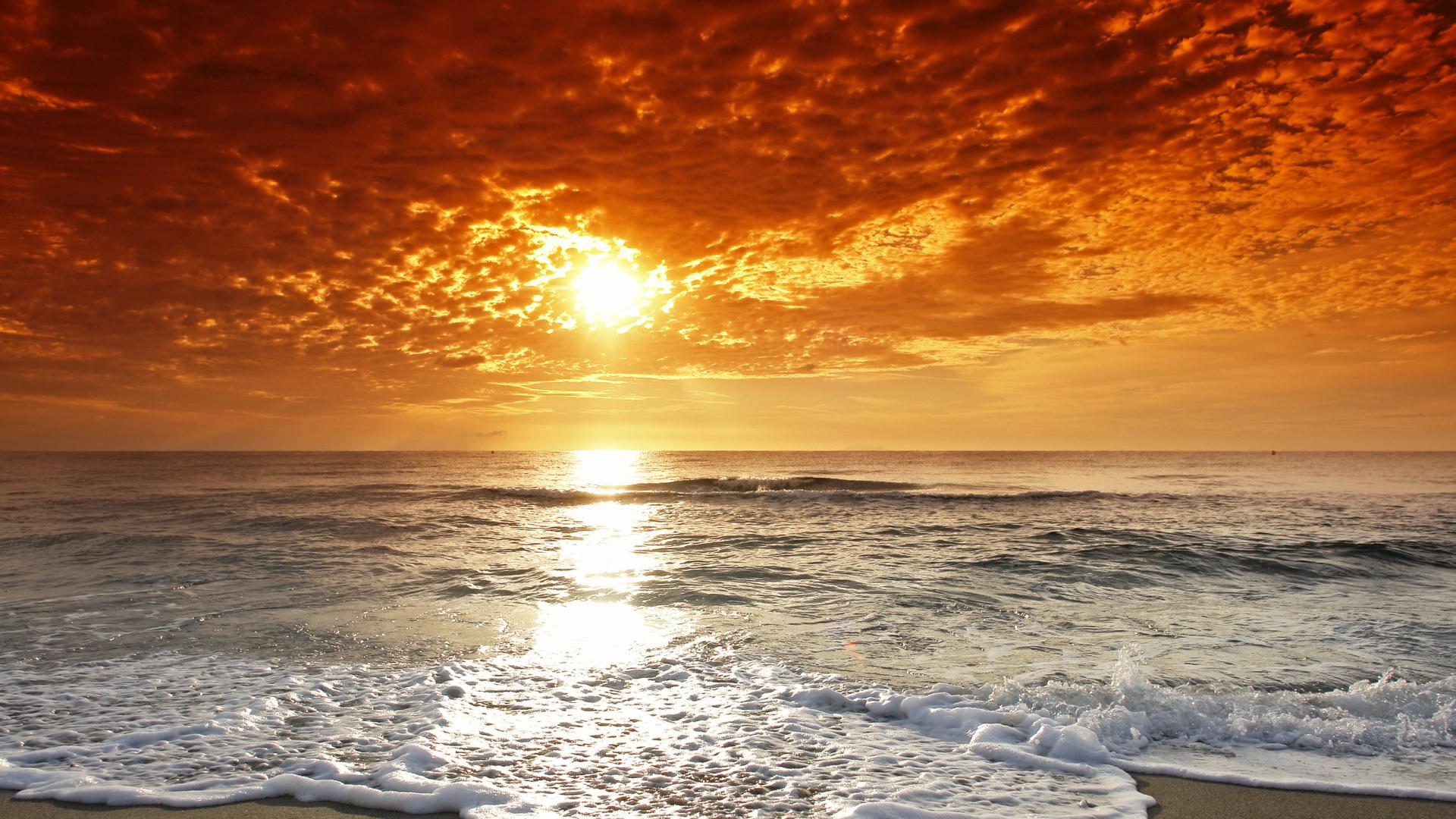 娱乐方式的增多使得读书的人变少