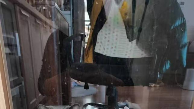 养猫八年，这和我生的有什么区别！