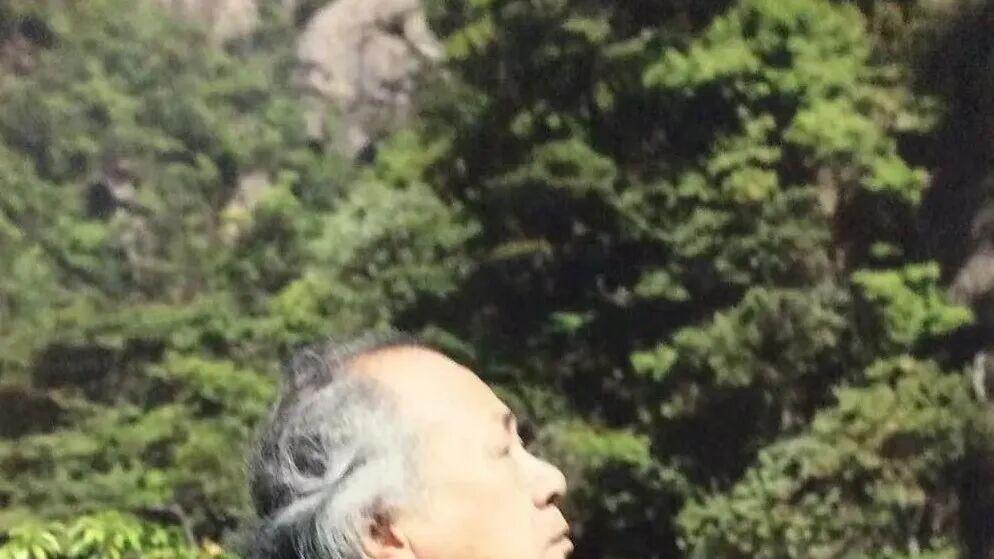 文心入画 格韵天成——王振德书画作品的独特意趣