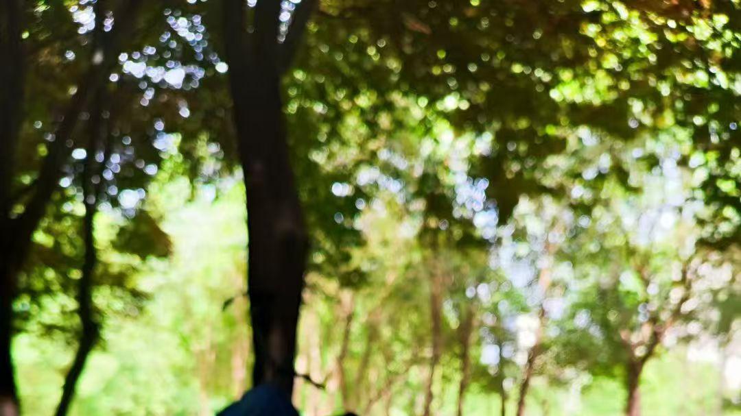 如何选择心境？