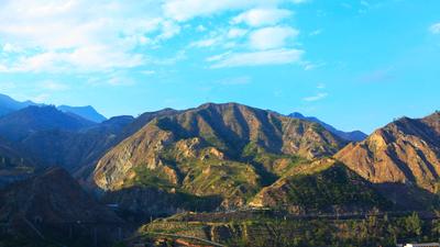 攀枝花：木棉花的逆袭传奇！