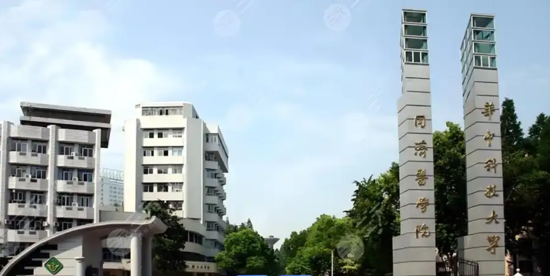 全国合并最成功的3所大学！合并后入选985，医学院撑起半个门面