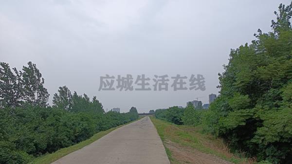 应城富水河堤拍两河新区-横二路项目