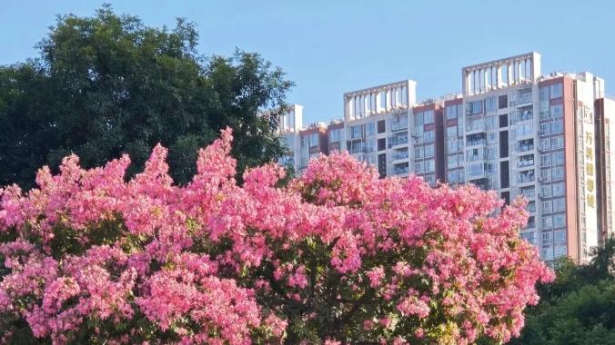 代驾、代哭与代骂