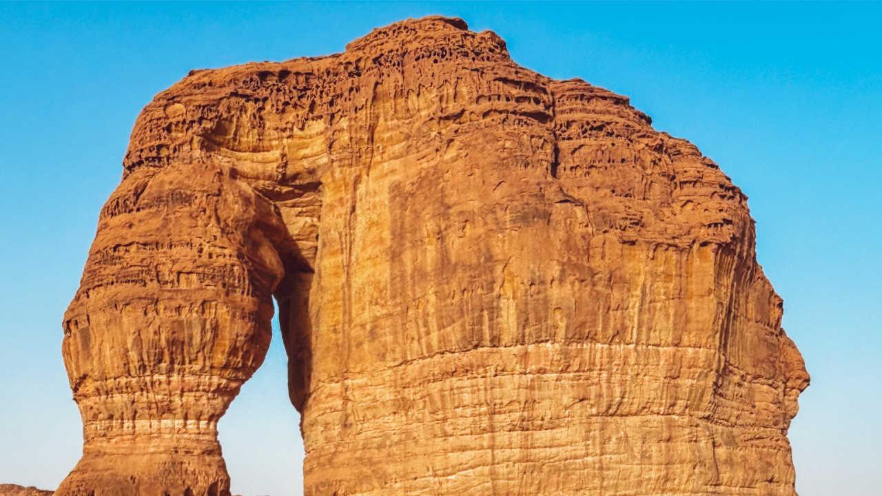 跟IAA国际驾照在沙特快乐出行