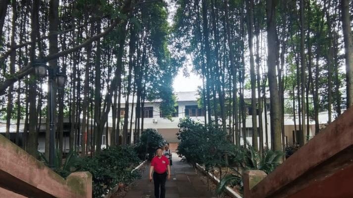 匠心坚守六十载的鲁希圣