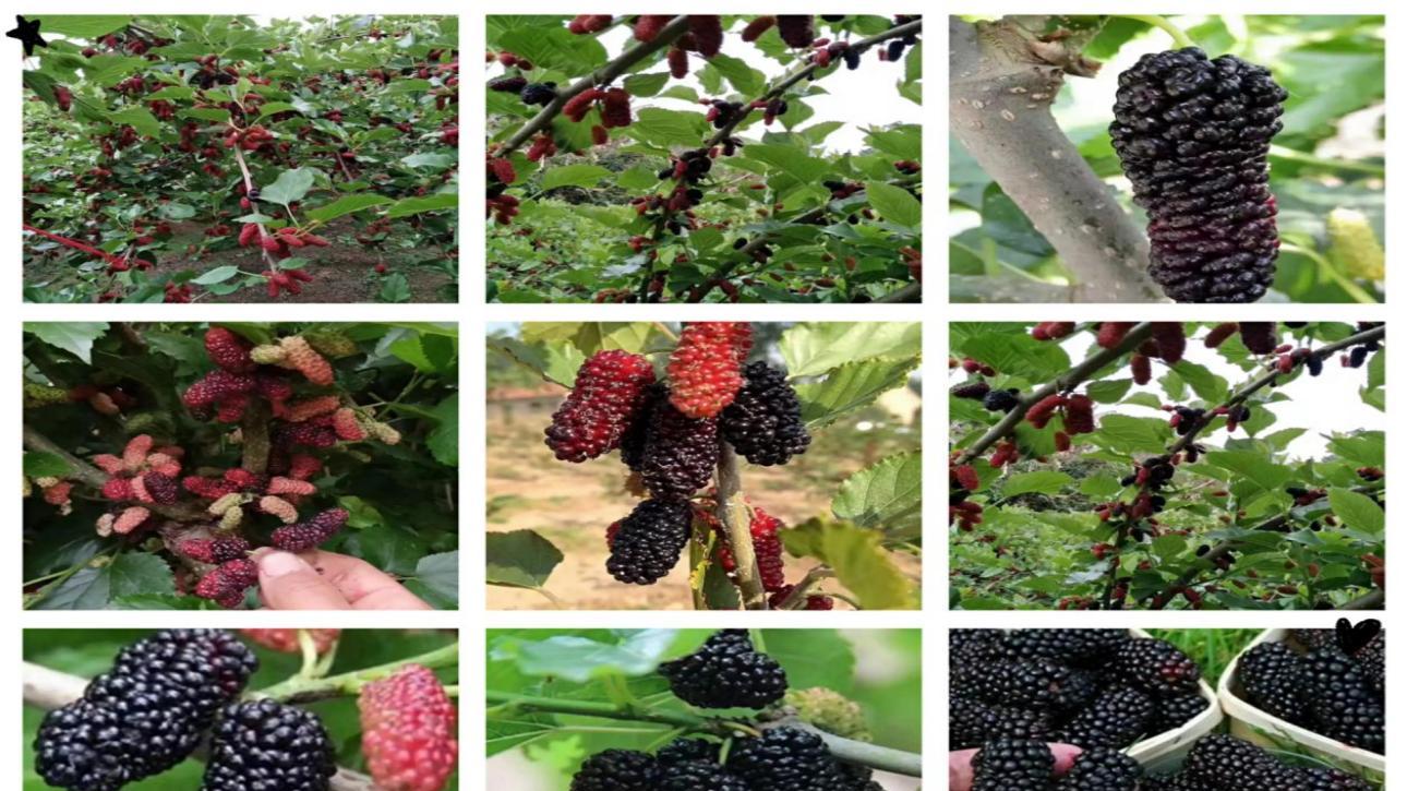 探秘天洞景区：一场穿越时空的仙境之旅