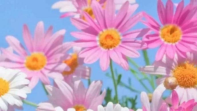 2025关于小雪节气的朋友圈说说，绝对值得你收藏！