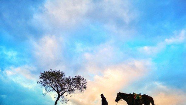 婚恋观念：60岁女性坦言，65岁男性仅具实用功能