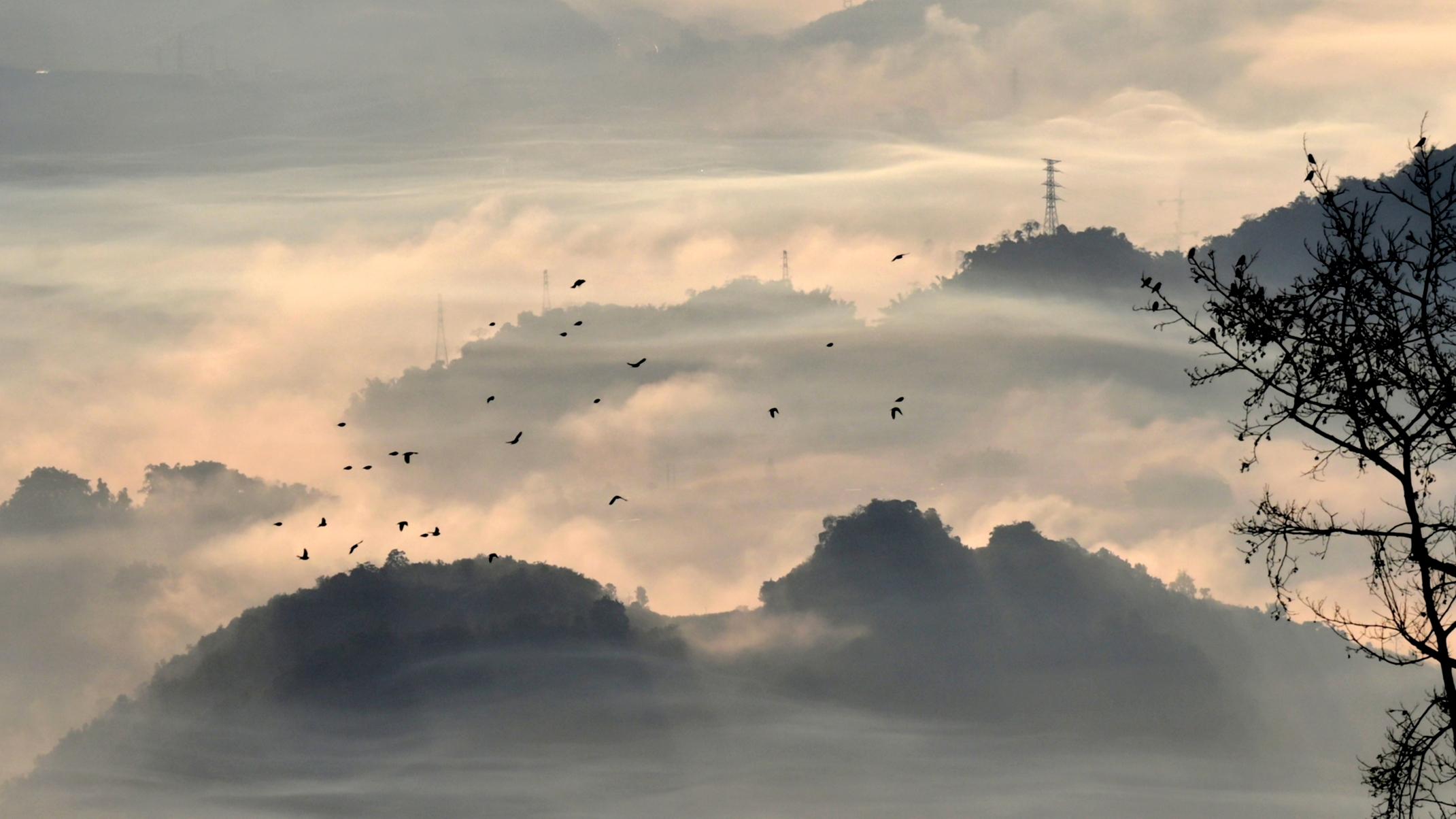 杨道超：冬日观云海