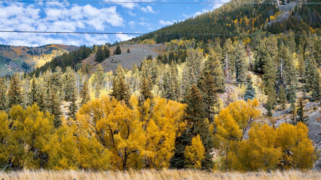 时间，是永不停息的潮汐