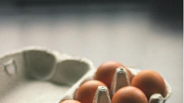 弗洛莱（FloraRoee）蛋白肽，筑好营养健康“基石”