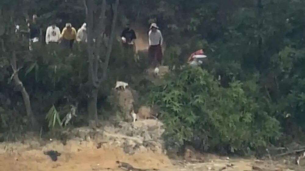 惊心！水库边念佛号，倒出的却是上千只惊恐的猫！愚蠢的爱比恶更可怕