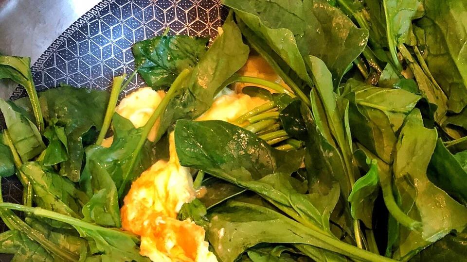 零基础『菠菜酱蛋』太香了！因为它爱上了喝粥