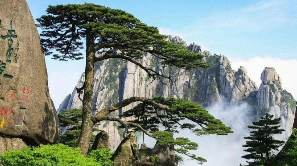 君子如猛兽，小人如牛羊；君子总是独行，小人总是成群结队