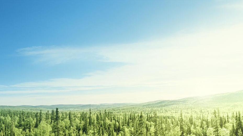 感情变质的第一个征兆：都是开始频繁说