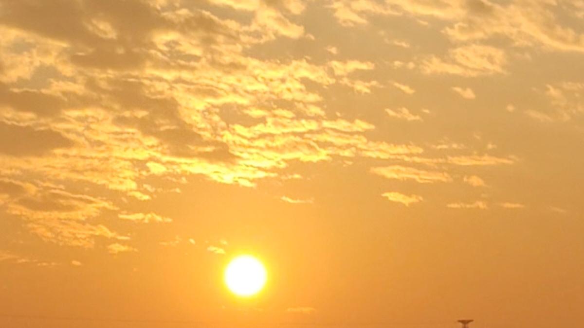 黄灿灿的本真温暖