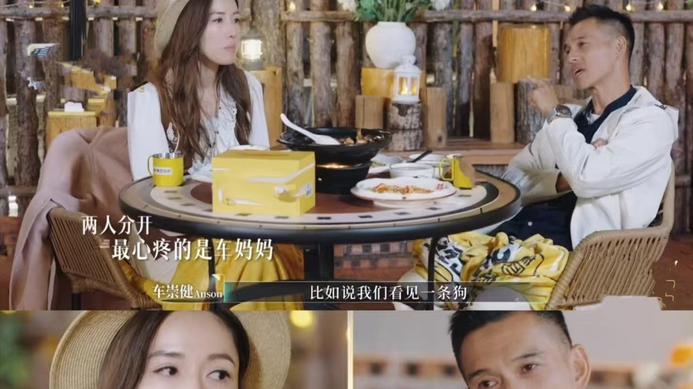 《再见爱人》：李施嬅和车崇健真的不适合在一起！一个情感需求很高，一个像个AI！