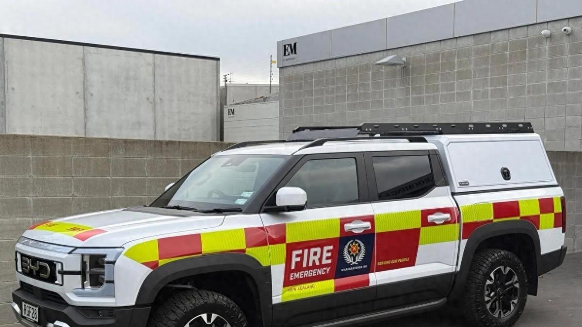 海外公务车，也被国产品牌征服了？