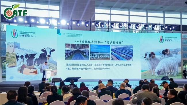 “黄金奶源 滩羊臻品”香飘农交会 宁夏灵武特色农产品推介会引热潮
