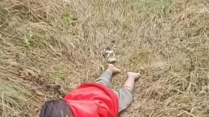 4 岁女童迷路遇险：万幸背后是家长不可忽视的看护警钟